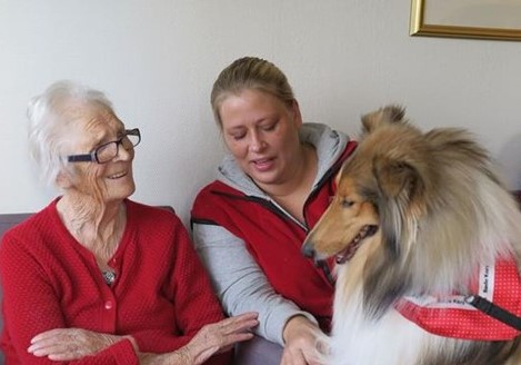 Har du ein godlynt hund og vil glede nokon?